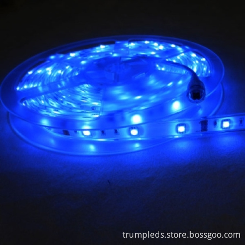 High Brightnes 24V RGB SMD 5050 LED Rigid Strips Light